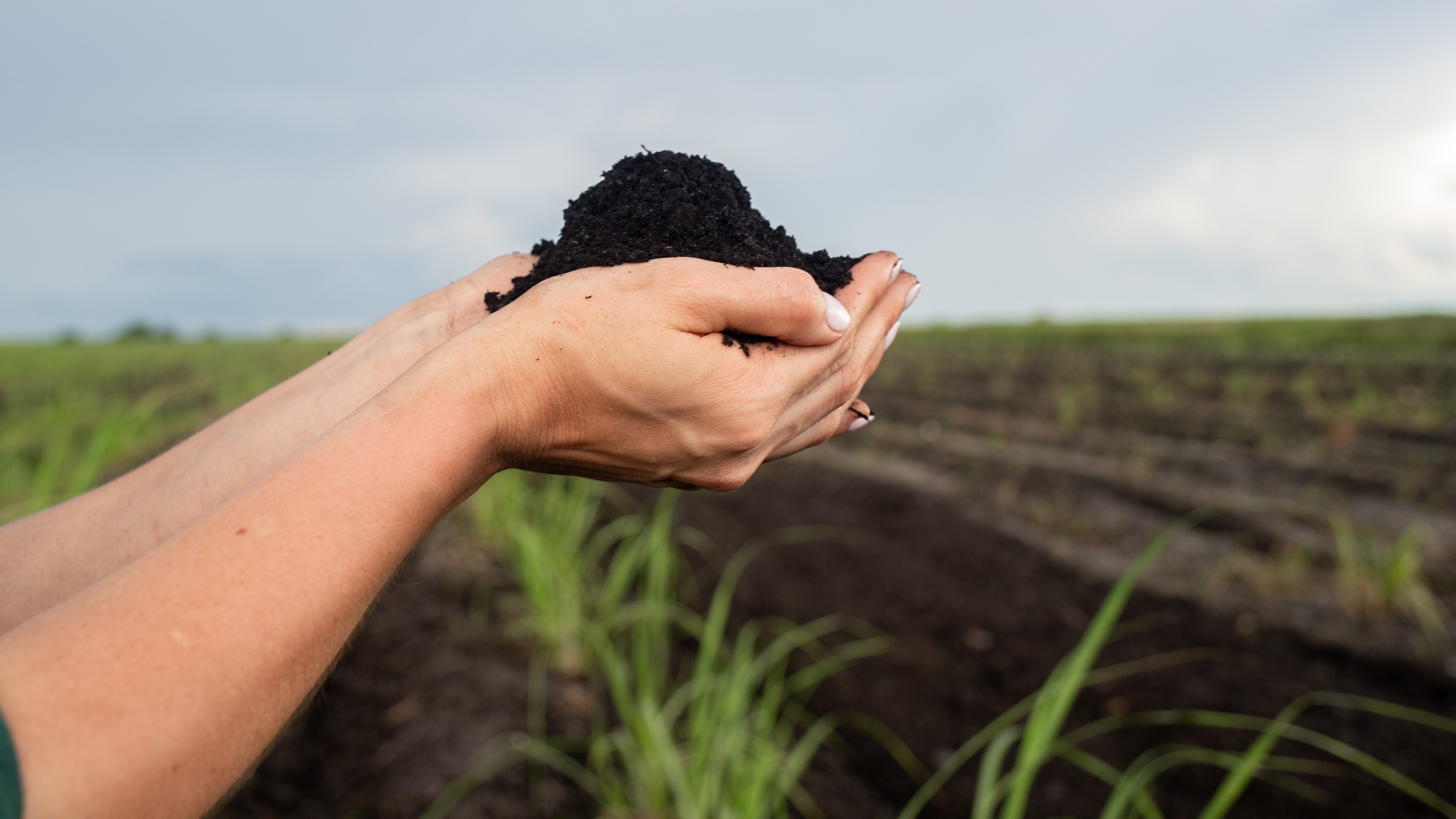 Florida Crystals® Celebrates National Organic Month