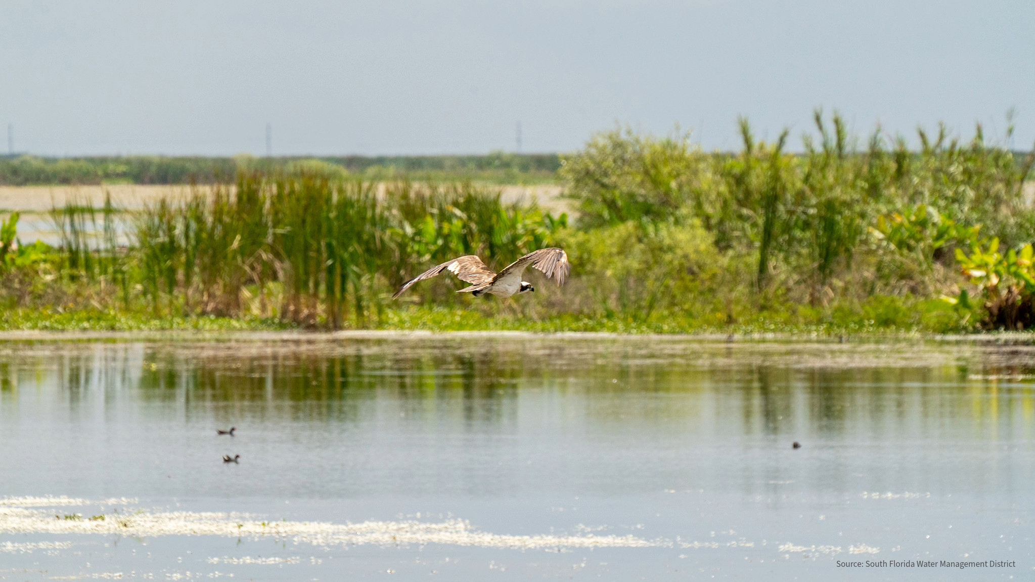 Florida Crystals Commends State of Florida, Army Corps for Pushing EAA Reservoir Toward Completion